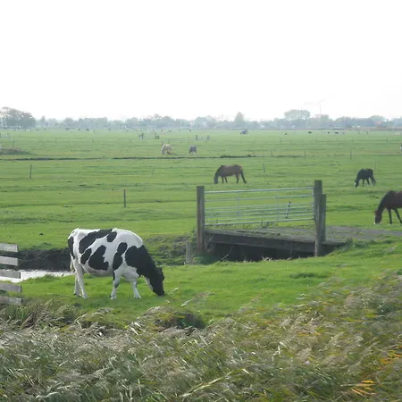 Bed & Breakfast Hutspot