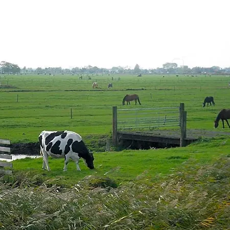 Hutspot Amsterdam
